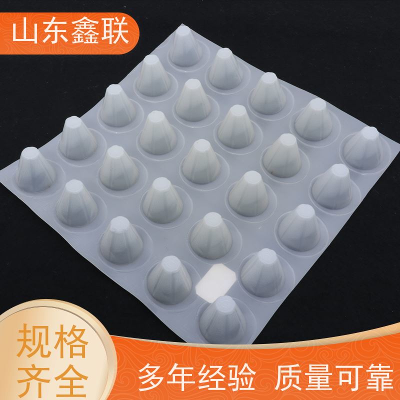 鑫联25高卷材排水板 3m×10m PE疏水板 车库顶板定制 专属物流