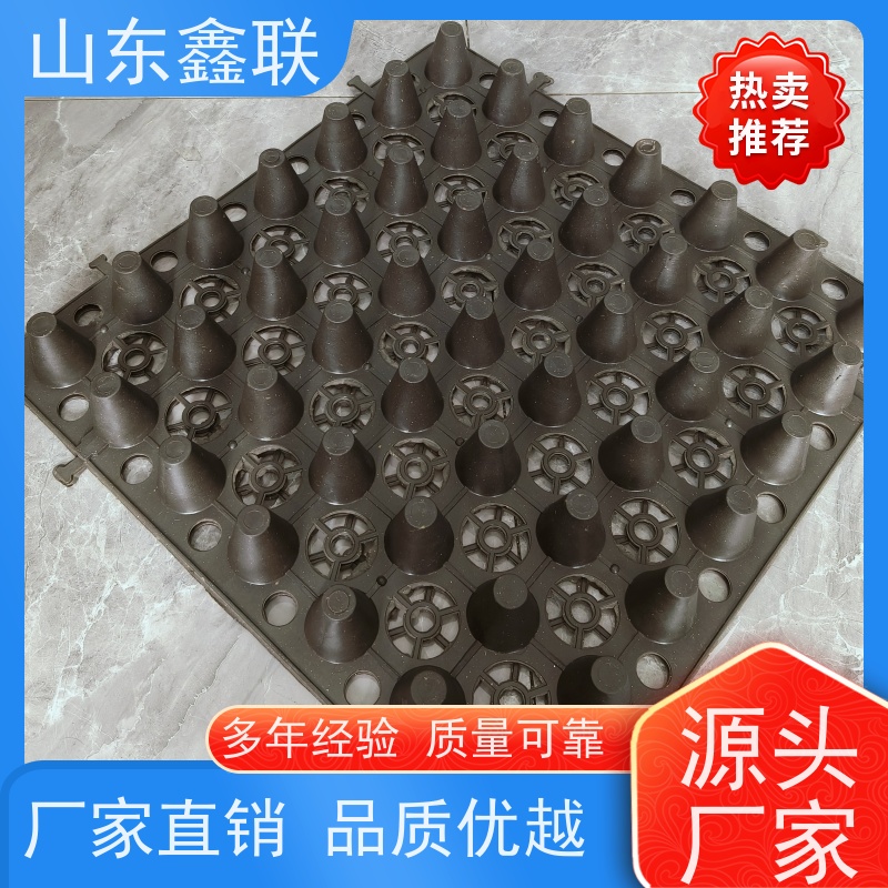 鑫联 3公分高 塑料凸片排水层 车库顶板专用 PE排蓄水板