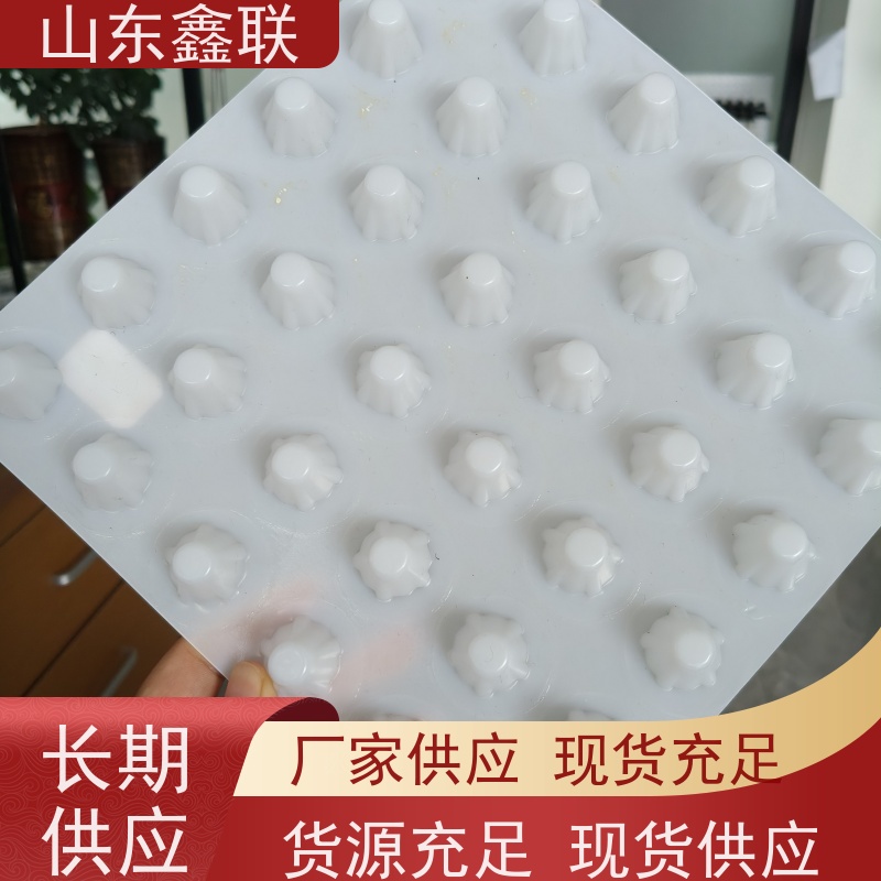 鑫联 黑色国标料 塑料凸片排水层 专注生产供应 聚乙 烯滤水板