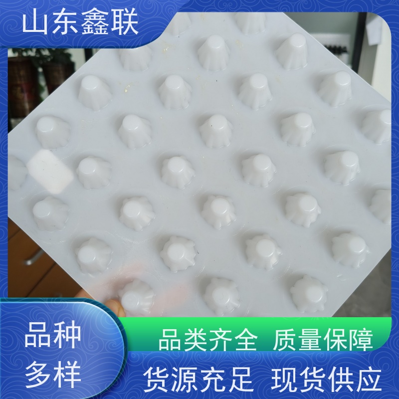 鑫联 20大杯口蓝色底板专用 塑料凸片排水层 专注生产供应 厚滤水板
