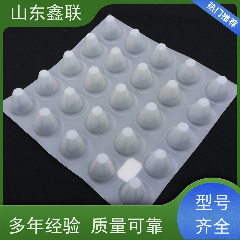 鑫联 黑色国标料 塑料凸片排水层 大厂实力批发 厚滤水板