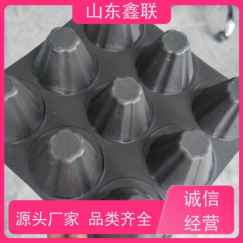 鑫联 3公分高 塑料凸片排水层 严选自营 单面凸台式高抗冲击滤水板