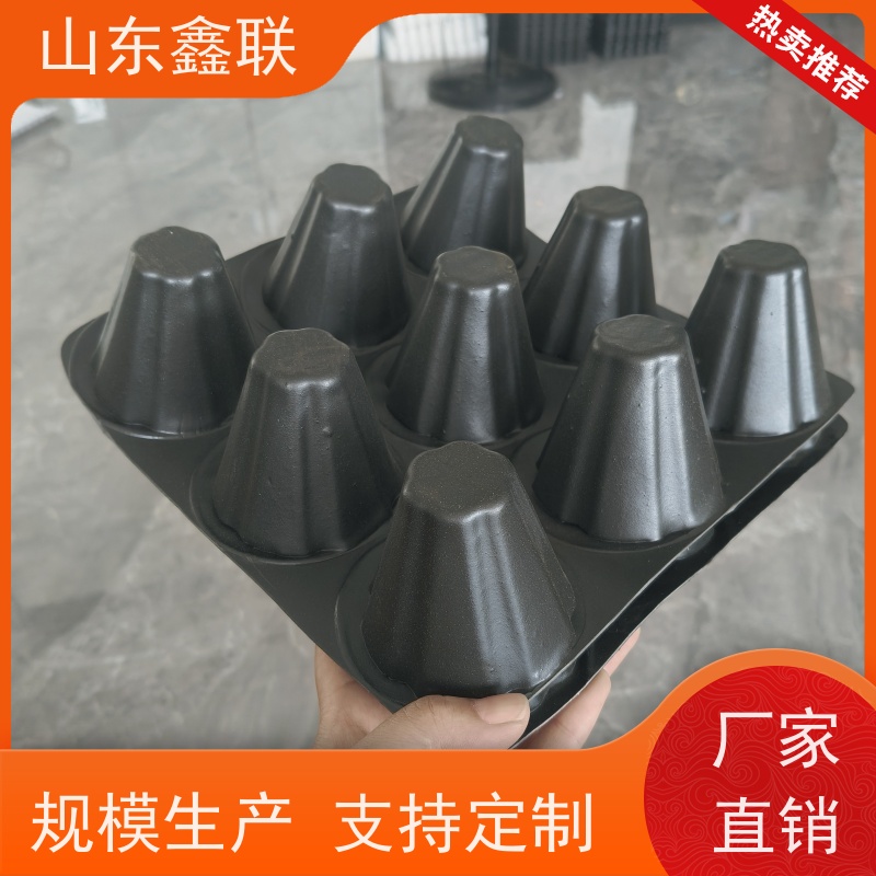 鑫联 50高黑色 塑料凸片排水层 专注生产供应 成品疏水板
