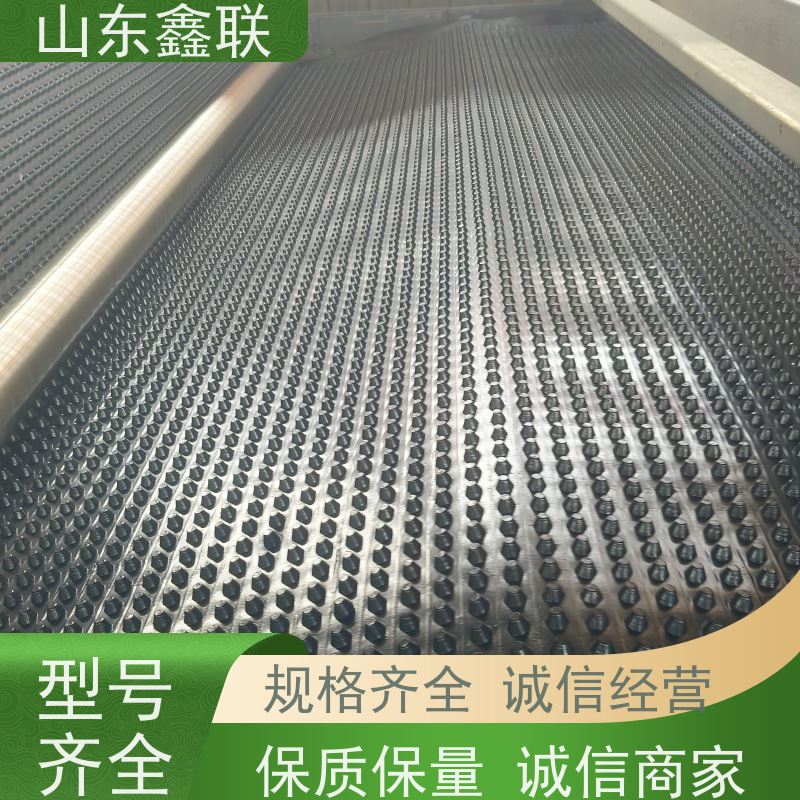 鑫联 3公分高 塑料凸片排水层 大厂实力批发 PE排蓄水板