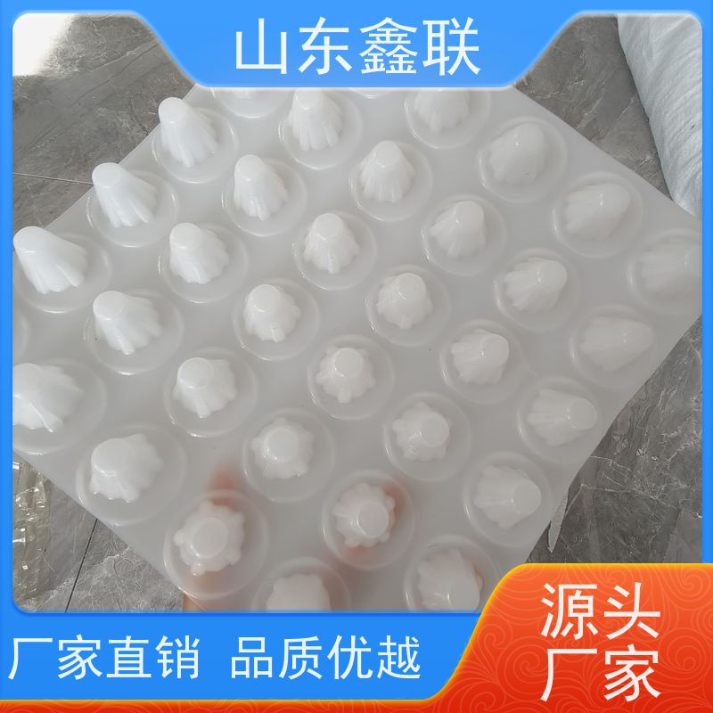 鑫联 白色全新料 塑料凸片排水层 车库顶板专用 厚滤水板