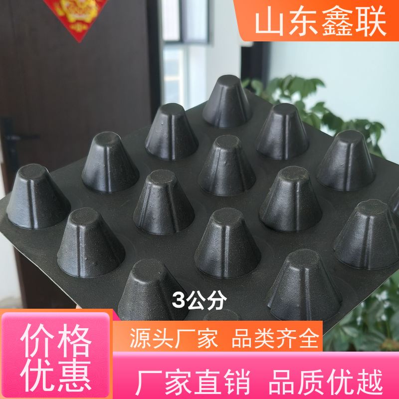 鑫联 6公分黑色 塑料凸片排水层 专注生产供应 成品疏水板