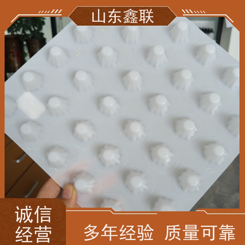 鑫联 25高卷材 塑料凸片排水层 科研创新 PE疏水板