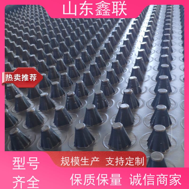 鑫联 25高卷材 塑料凸片排水层 严选自营 PE排蓄水板