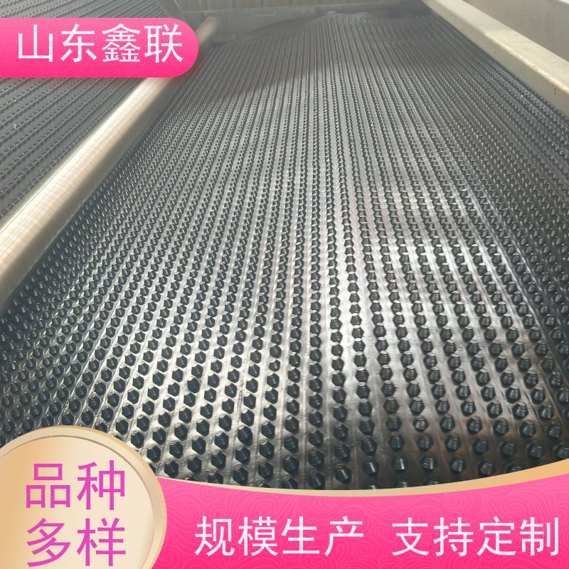 鑫联 40高3*10 塑料凸片排水层 国检认证品质 PE排蓄水板