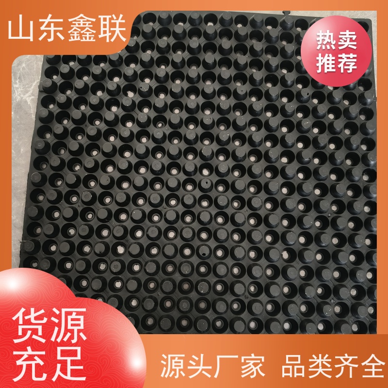 鑫联 白色全新料 塑料凸片排水层 10年大厂品牌 厚滤水板