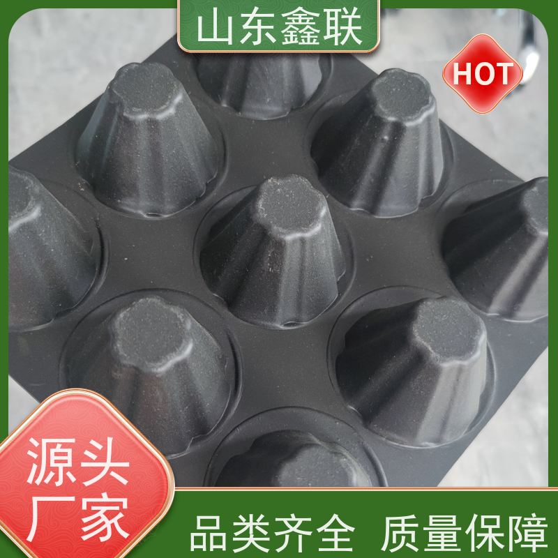 鑫联 14高复合一体 塑料凸片排水层 科研创新 厚滤水板