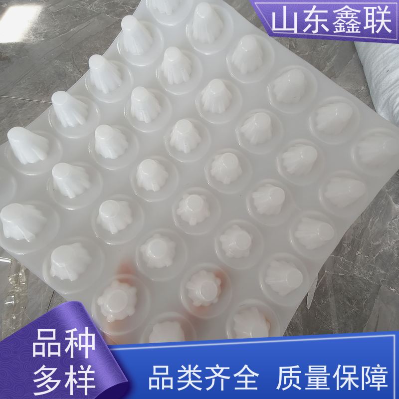 鑫联 1公分高 塑料凸片排水层 严选自营 厚滤水板