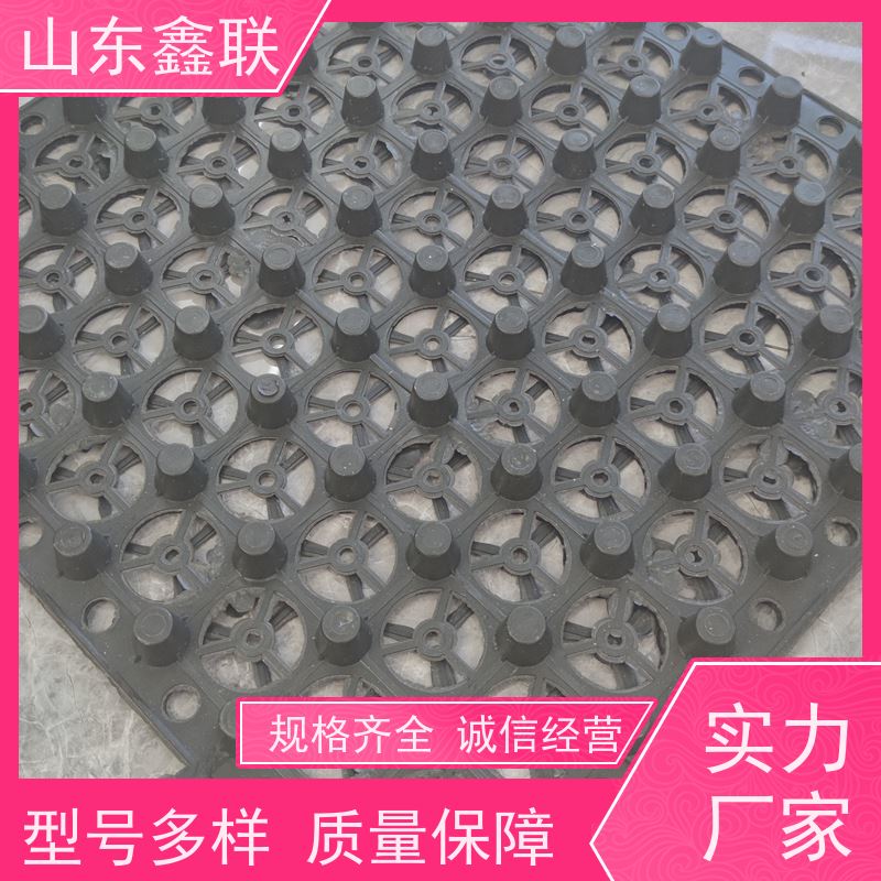 鑫联 16公分大杯口 塑料凸片排水层 车库顶板专用 聚乙 烯滤水板
