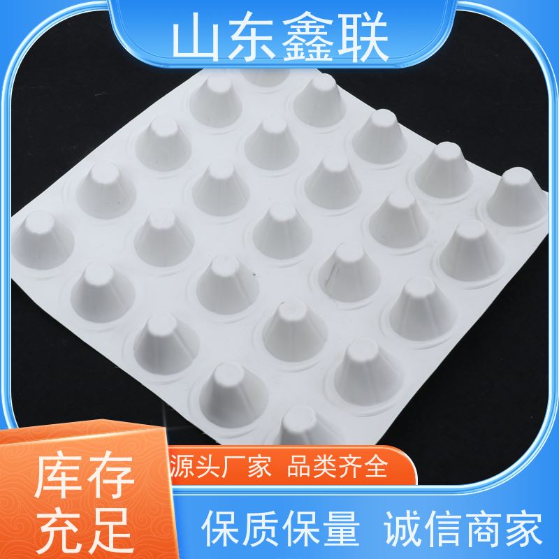 鑫联 2公分厚 塑料凸片排水层 专注生产供应 成品疏水板