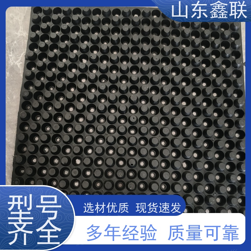 鑫联 3公分高 塑料凸片排水层 厂家施工指导 PE排蓄水板