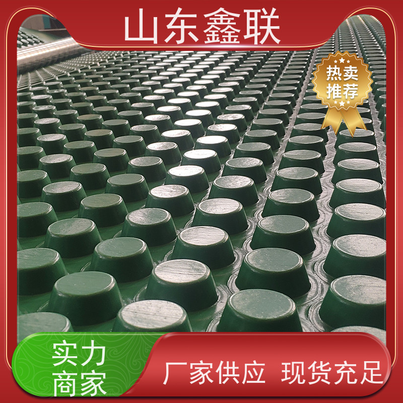 鑫联 爆卖百万平方 塑料凸片排水层 专注生产供应 PE疏水板