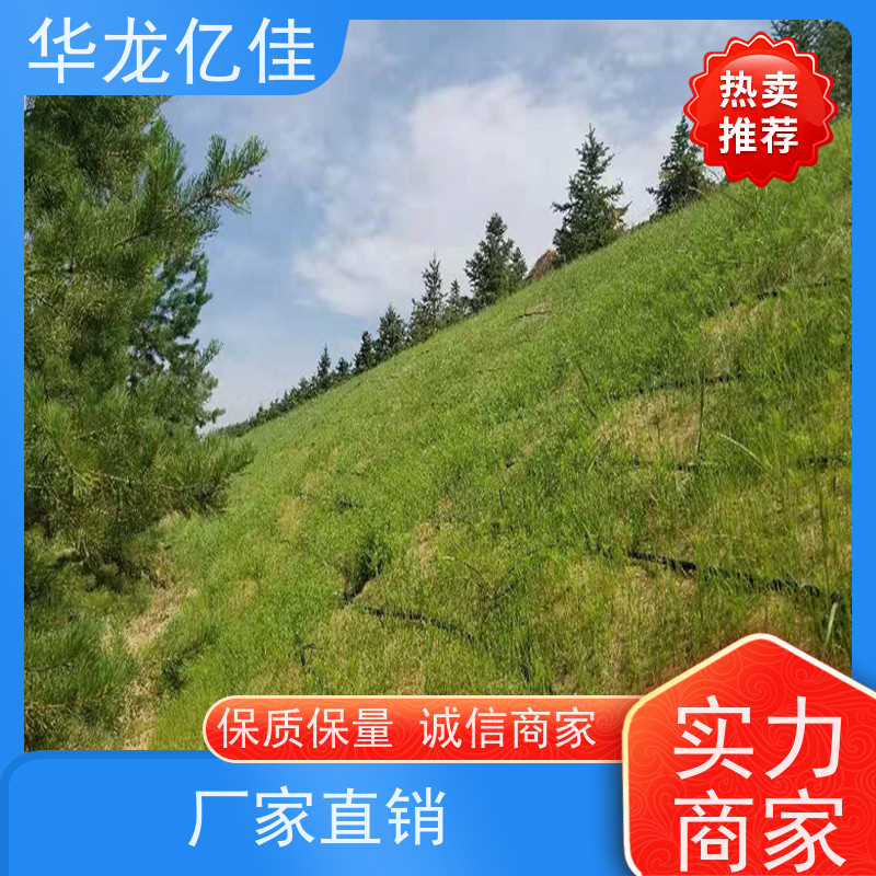 销售 抗冲生物毯 生态修复矿山绿化护坡 施工简单