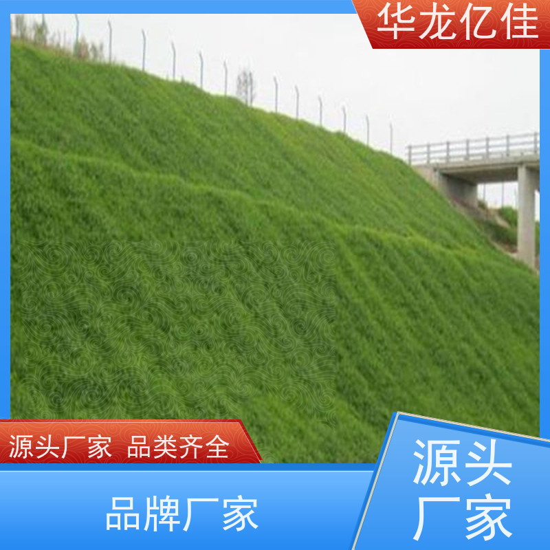 销售 河坡草毯 荒漠治理植被固土 颜色金黄色 耐腐蚀