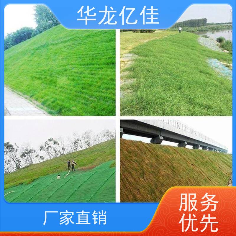 特价 抗冲生物毯 河道护坡绿化植草毯 华龙亿佳供应