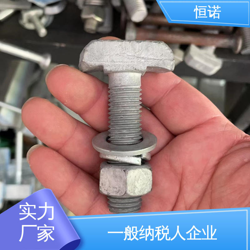 恒诺 热镀锌8.8级T型螺栓 订做异型件 实体厂家 规格齐全