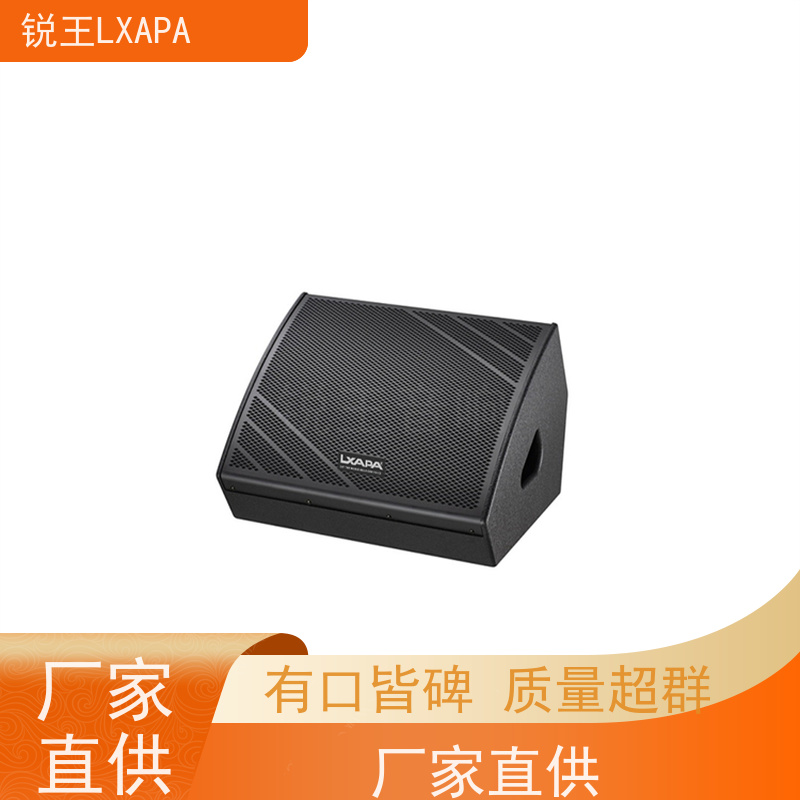 锐王LXAPA 会议音柱功放 酒吧音响设备 小型演出用 人声音箱