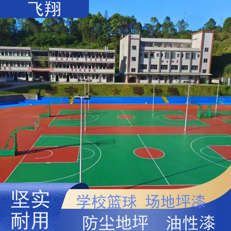 汕尾汕城校园篮球场地坪漆 环保达标 防滑耐磨 教育局认可