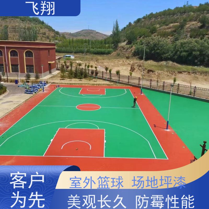 博罗县园洲 福田 石湾学校篮球场地坪漆 抗压耐磨防滑 全国施工