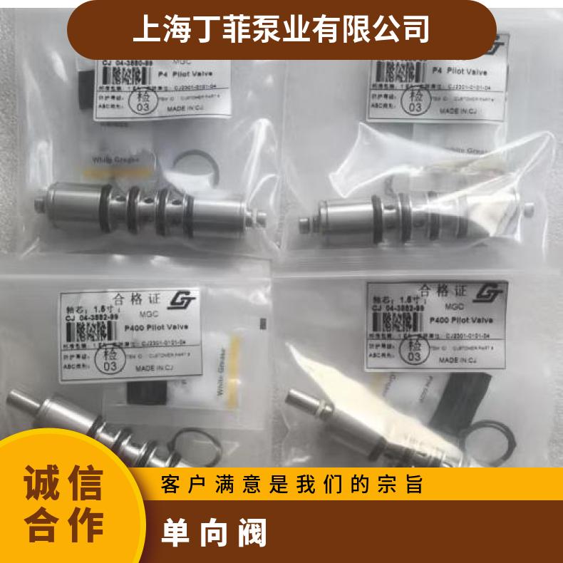 隔膜式计量泵单向阀，DN50阀，GB600/650/850/350