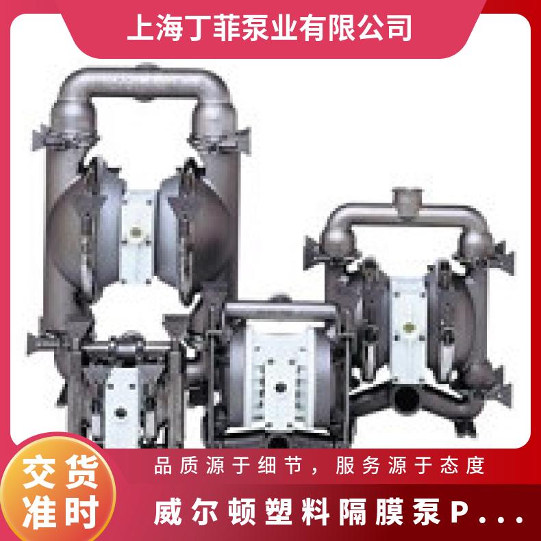 08-13980?? ?威尔顿wilden气动隔膜泵?? ?XH800/SSSAA/WF
