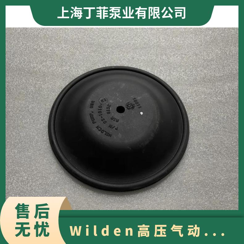 固瑞克气动泵配件阀球四氟球耐腐蚀HUSKY10401050159021503300