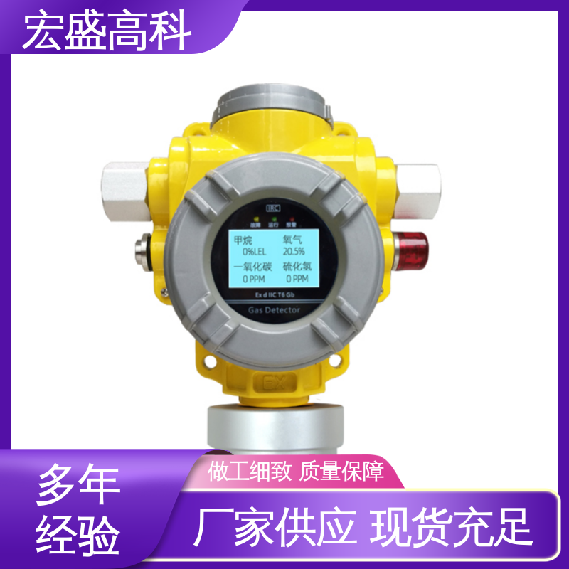 宏盛佳 固定式气体检测仪 壁挂式 IICT6防爆 IP66防护 RS485输出