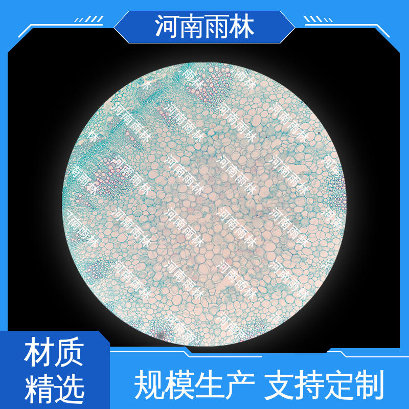 显微切片 可提供材料 品质优良 个性化定做 雨林教育