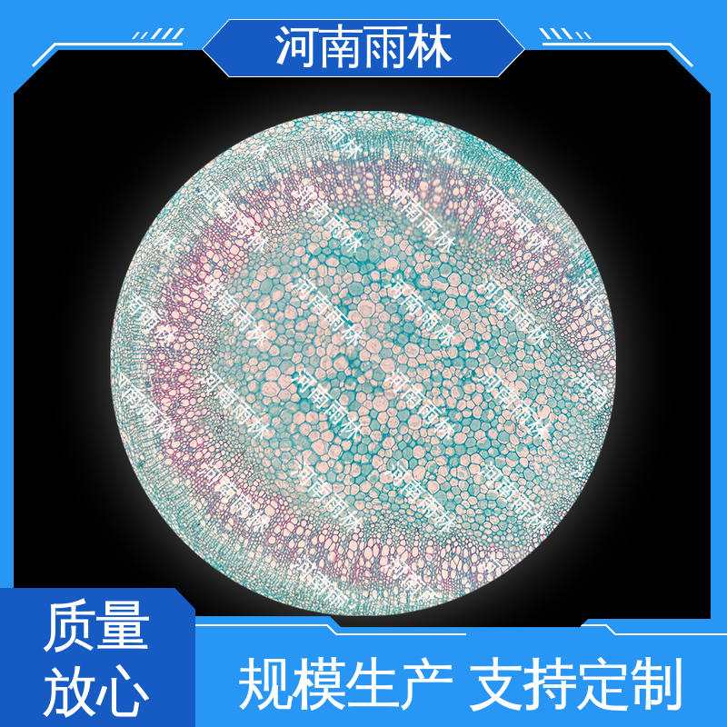 雨林教育 品质优良 可提供材料 显微标本 厂家销售
