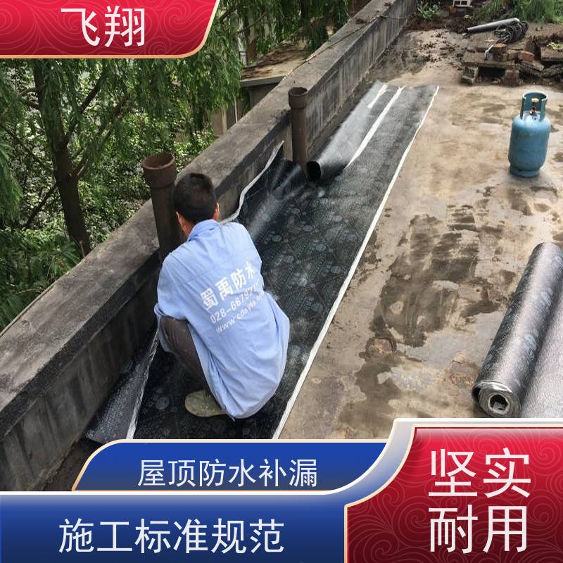 飞翔 阳台防水补漏施工 地下室渗水堵漏 效率高 