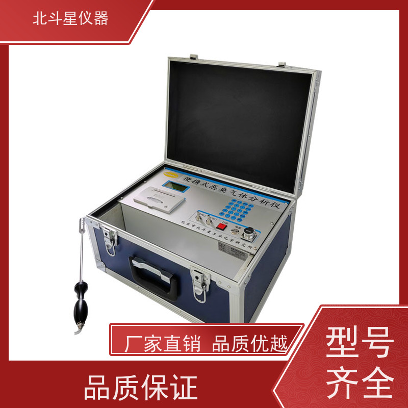 北斗星仪器 高精度电化学传感器 恶臭检测仪 污水处理厂用