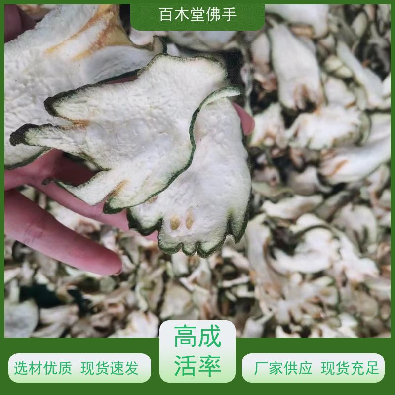 百木堂 重庆佛手 树形丰富 成活率高 城市景观绿化树 
