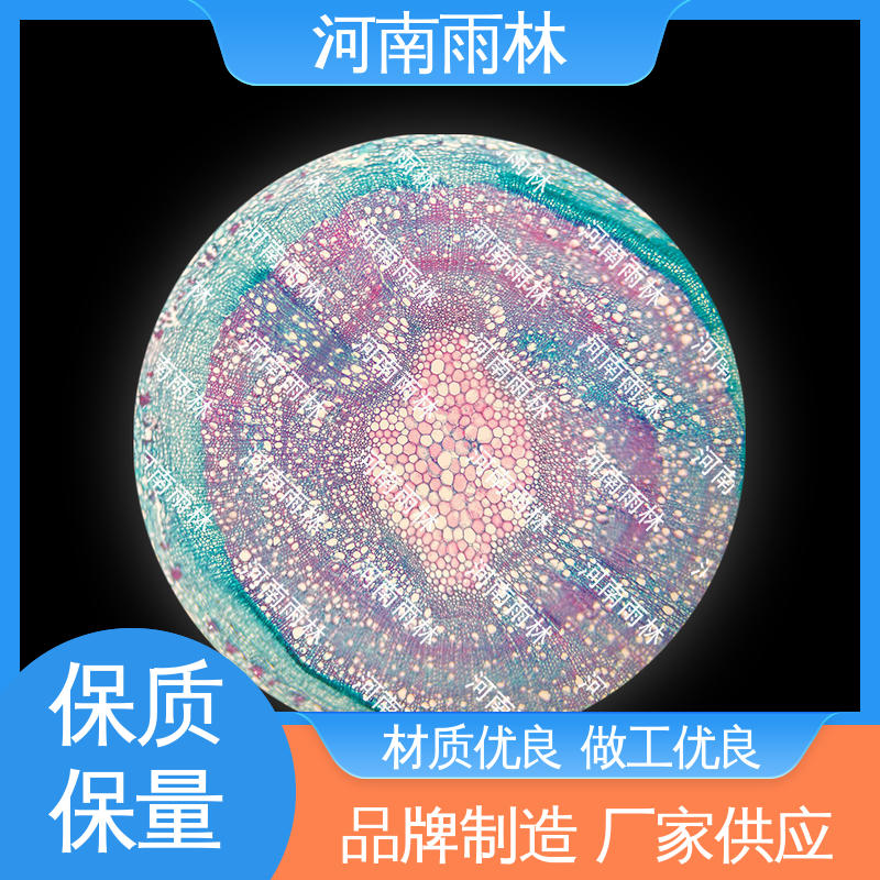 显微切片 质量优 厂家销售 一对一质检 雨林教育工程