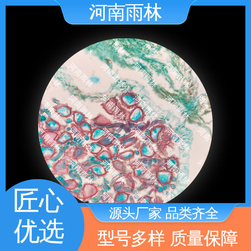 雨林教育工程 品质优良 源头工厂 售后无忧 各类标本