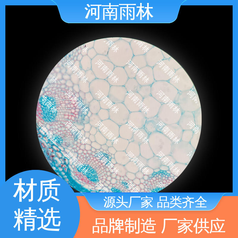 雨林教育工程 生物切片 厂家销售 可提供材料 细胞清晰
