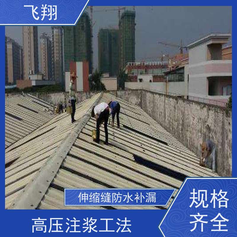 飞翔 别墅区防水补漏 免费勘察快速修补 节省成本