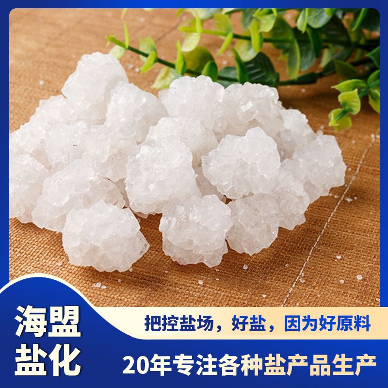 海盟精制海盟细盐软水盐高纯度工业级氯化钠水处理防冻融雪