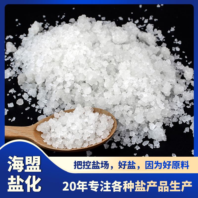 大颗粒海盟批发 水溶性易溶于水 精制精细盐纯度高 适用范围广