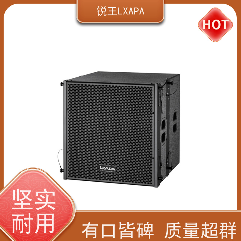 锐王LXAPA 可调指向声柱 数字会议音响系统设备 清晰细腻 8寸线阵音箱