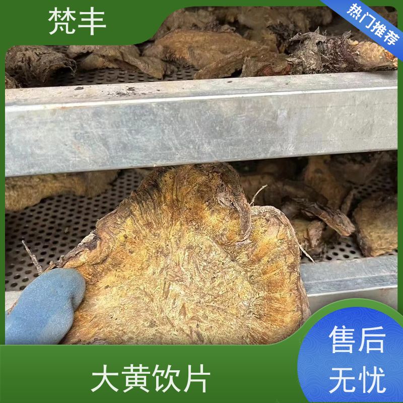 梵丰 大黄种子 原产地 种植基地 在线接单 物流配送 