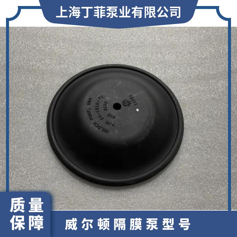 帕斯菲达计量泵膜片，LEH6SB-KTCH-XXX专用的膜片，PULSTtron