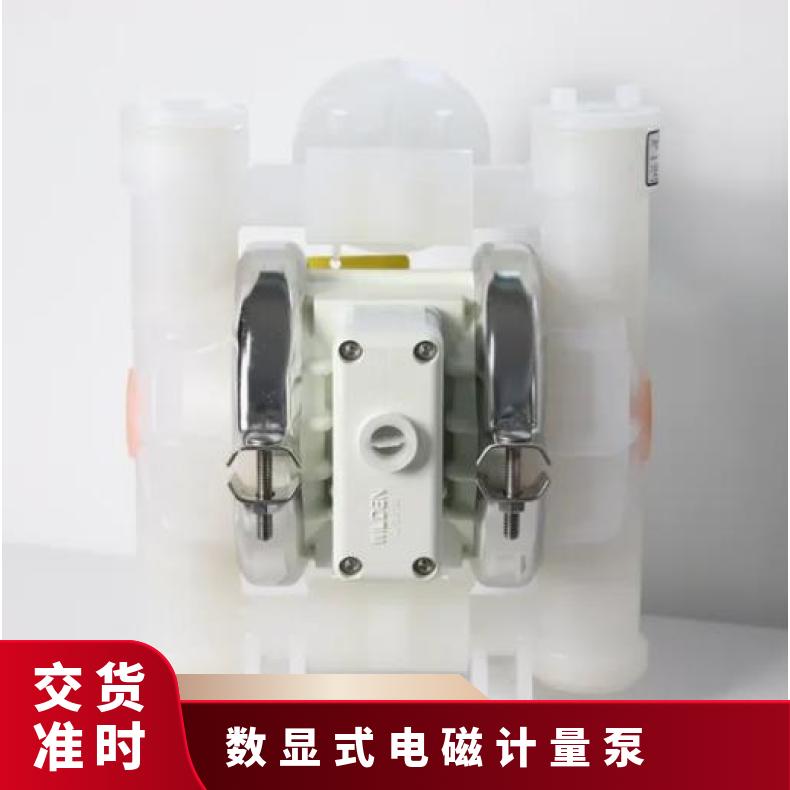 米顿罗计量泵维修包备件包GM033004000500PQ1MNN包配件