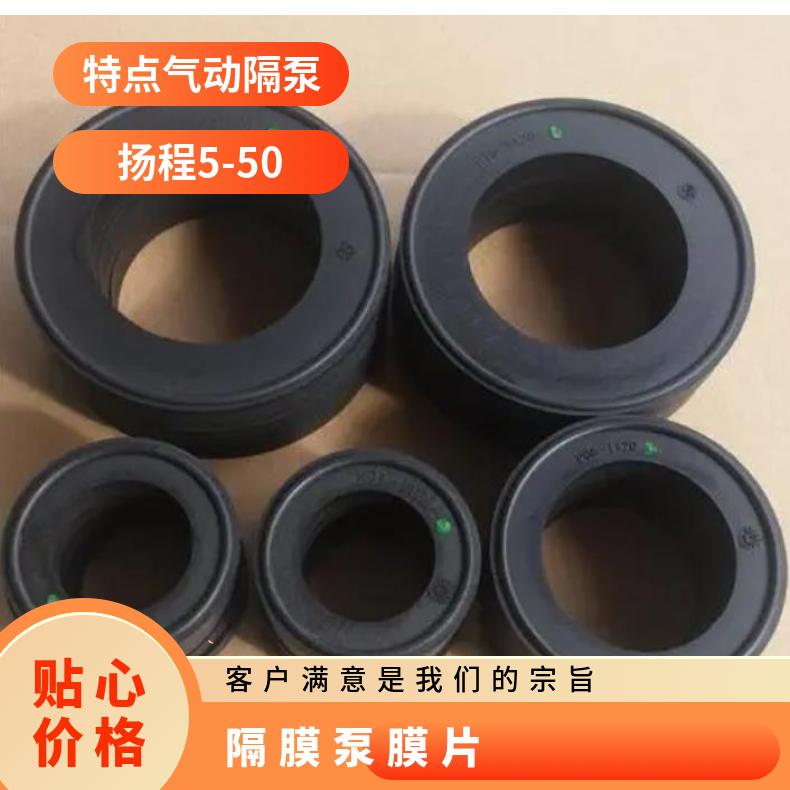 wenldenP1威尔顿气动隔膜泵隔膜片01-1060-5101-1010-55进口泵