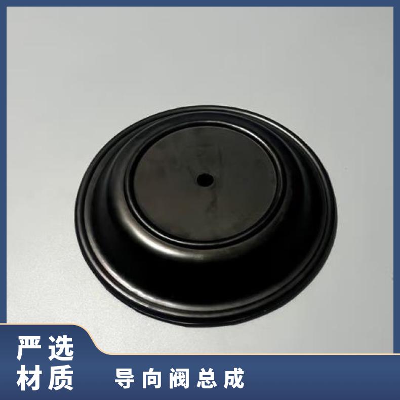 胜百德气动隔膜泵配件马拉松031-173-000进气阀/总成/导向阀