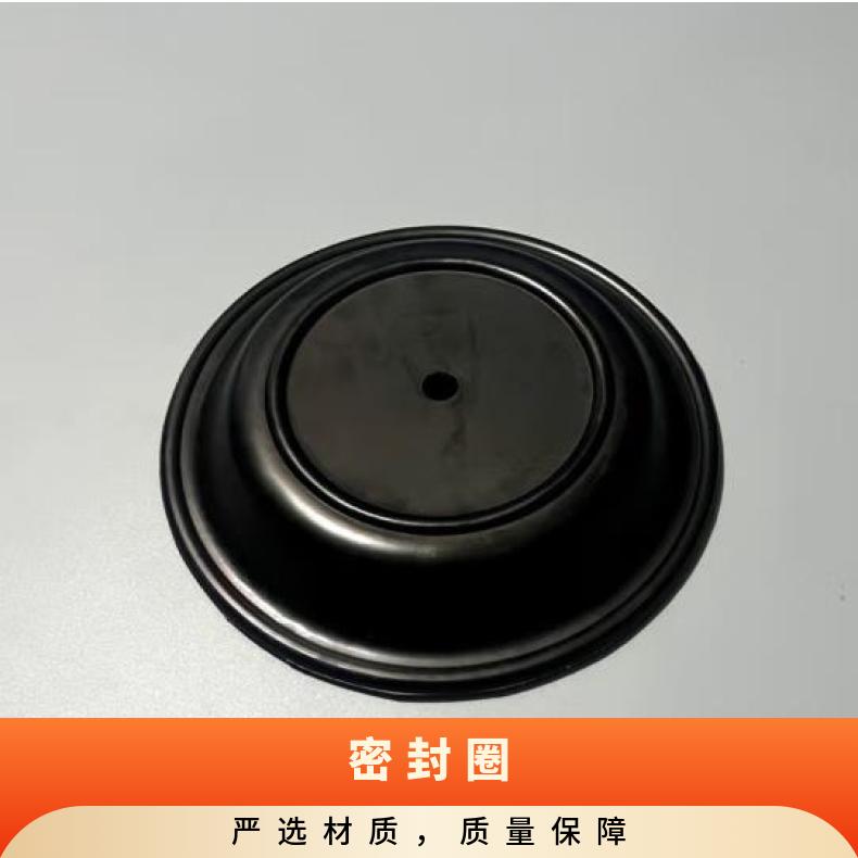 PD10英格索兰ARO气动隔膜泵膜片96146-T96165隔膜片耐腐蚀15