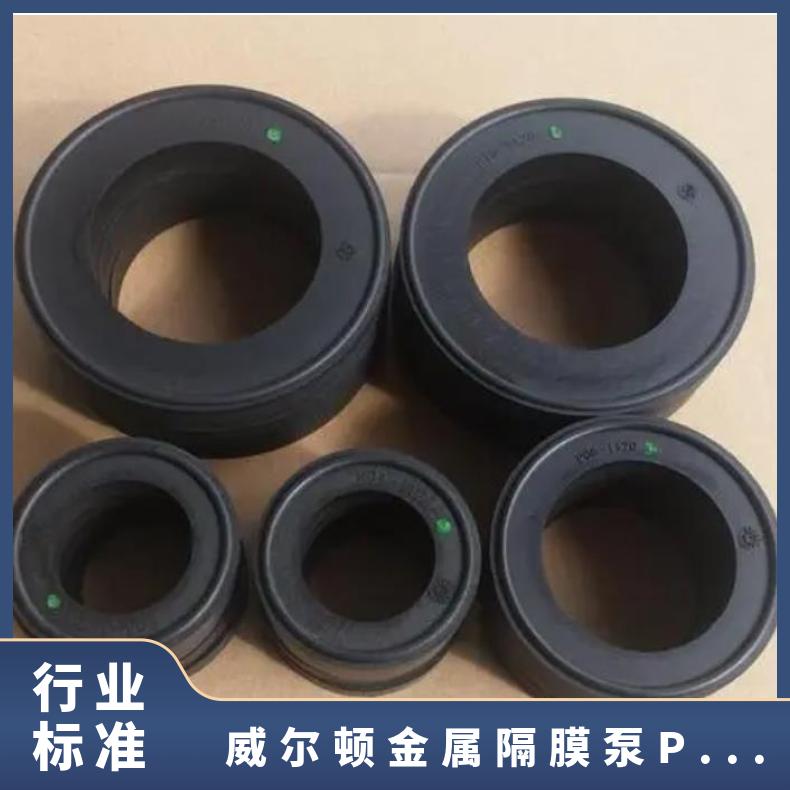 帕斯菲达计量泵膜片DC2/3/4/5/55H膜片，泵膜